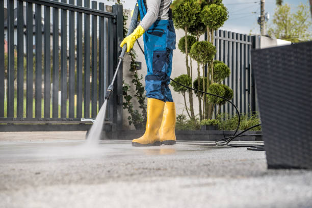 Best Driveway Pressure Washing  in San Ysidro, NM